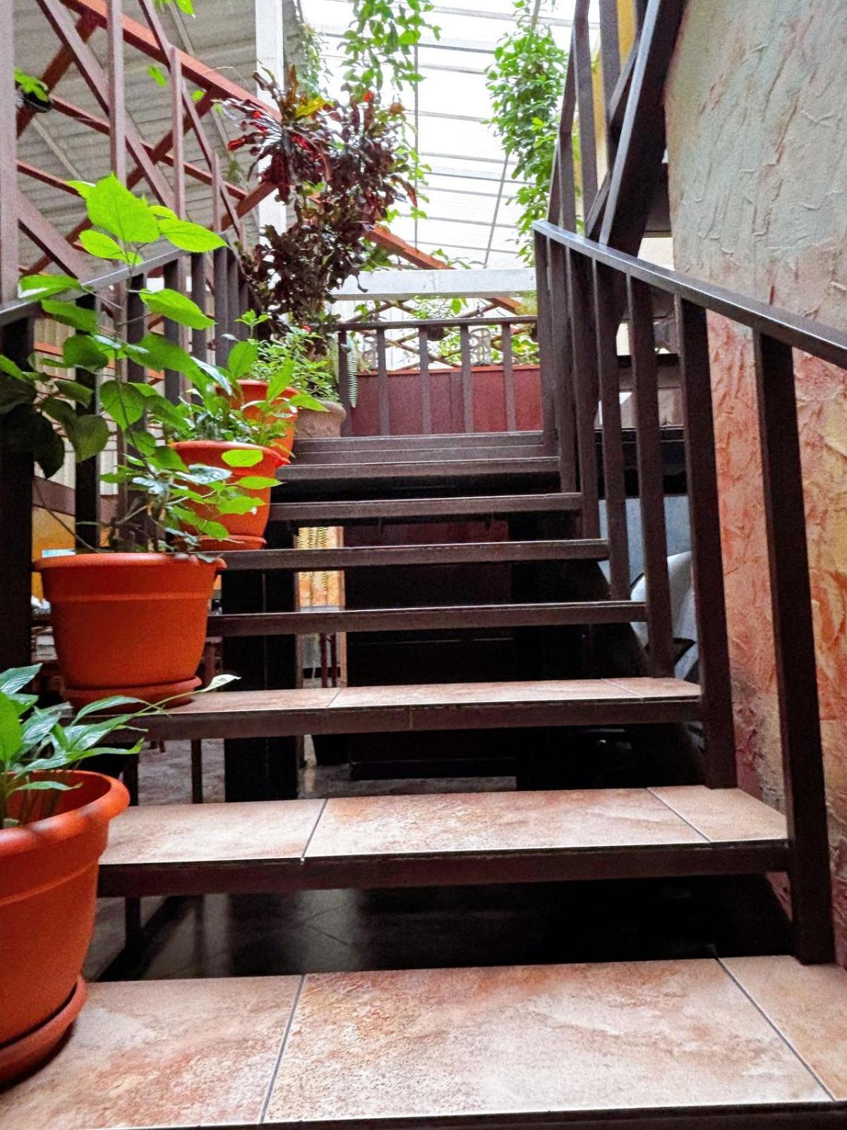 Antigua Inn Hotel Guatemala City Eksteriør bilde